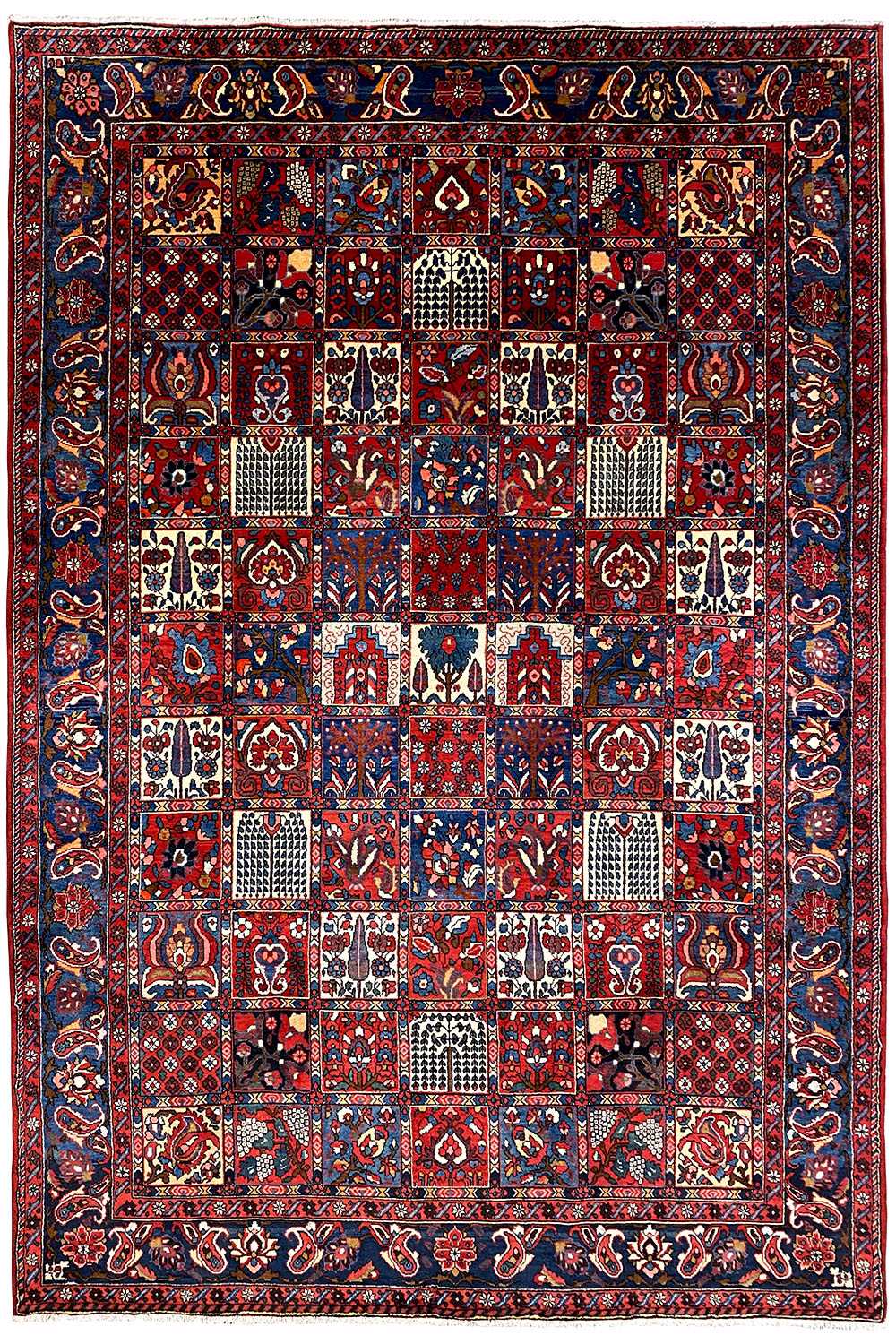 Bakhtiari - (314x220 cm) - German Carpet Shop