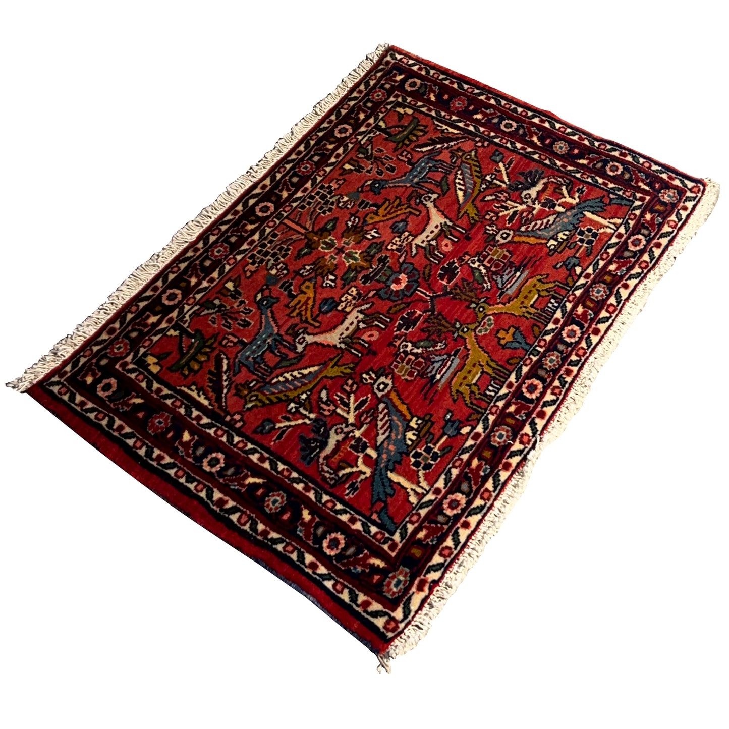 Poshti Teppich, Rot, 77x51cm - Premium Poshti Teppich from German Carpet Shop - Just €170! Shop now at German Carpet Shop