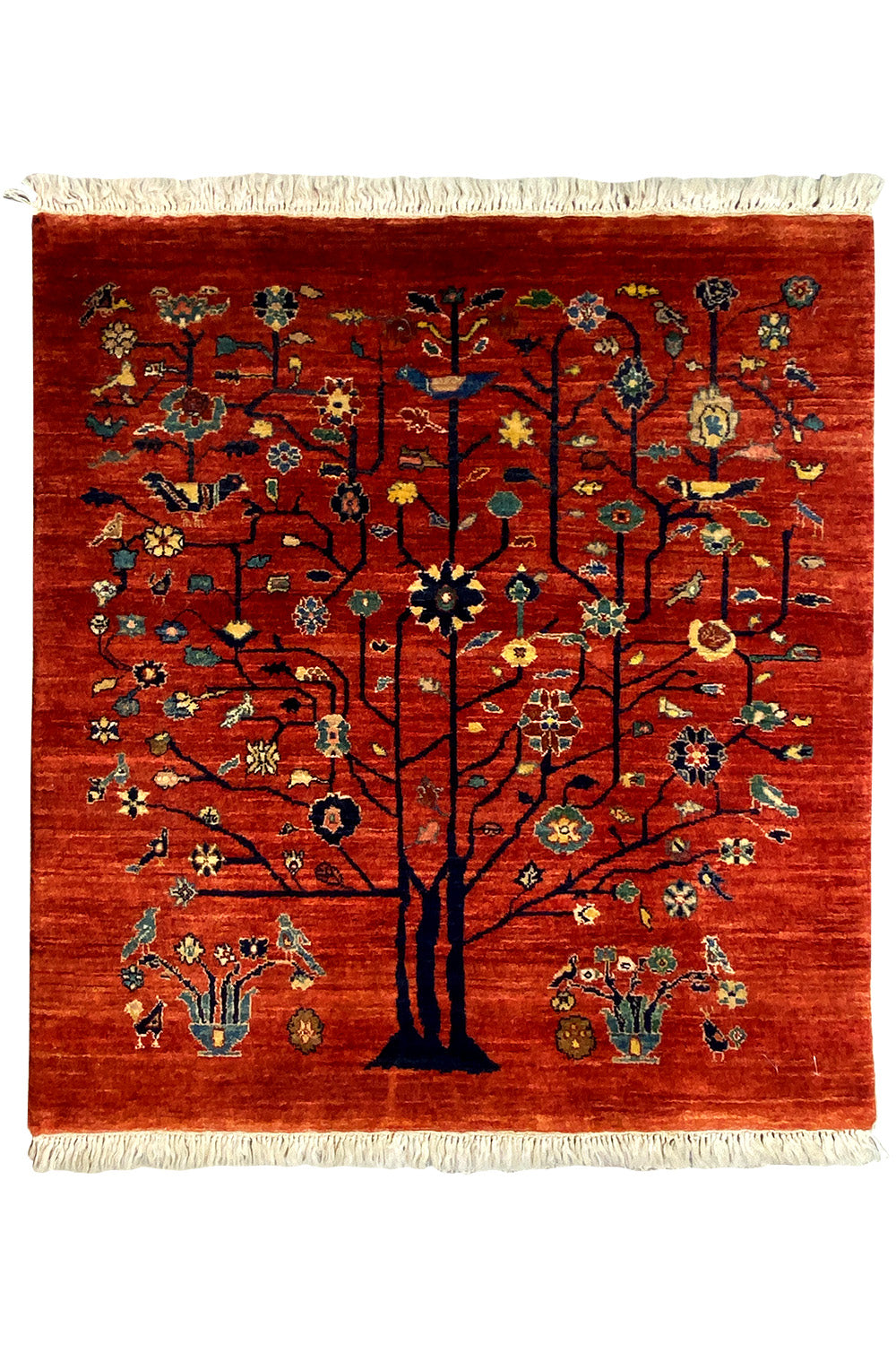 Qashqai Exklusiv 19863 - (106x103 cm) - Premium from German Carpet Shop - Just €900! Shop now at German Carpet Shop