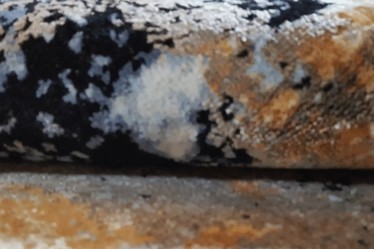 Designer-Teppich (244x174 cm) - German Carpet Shop