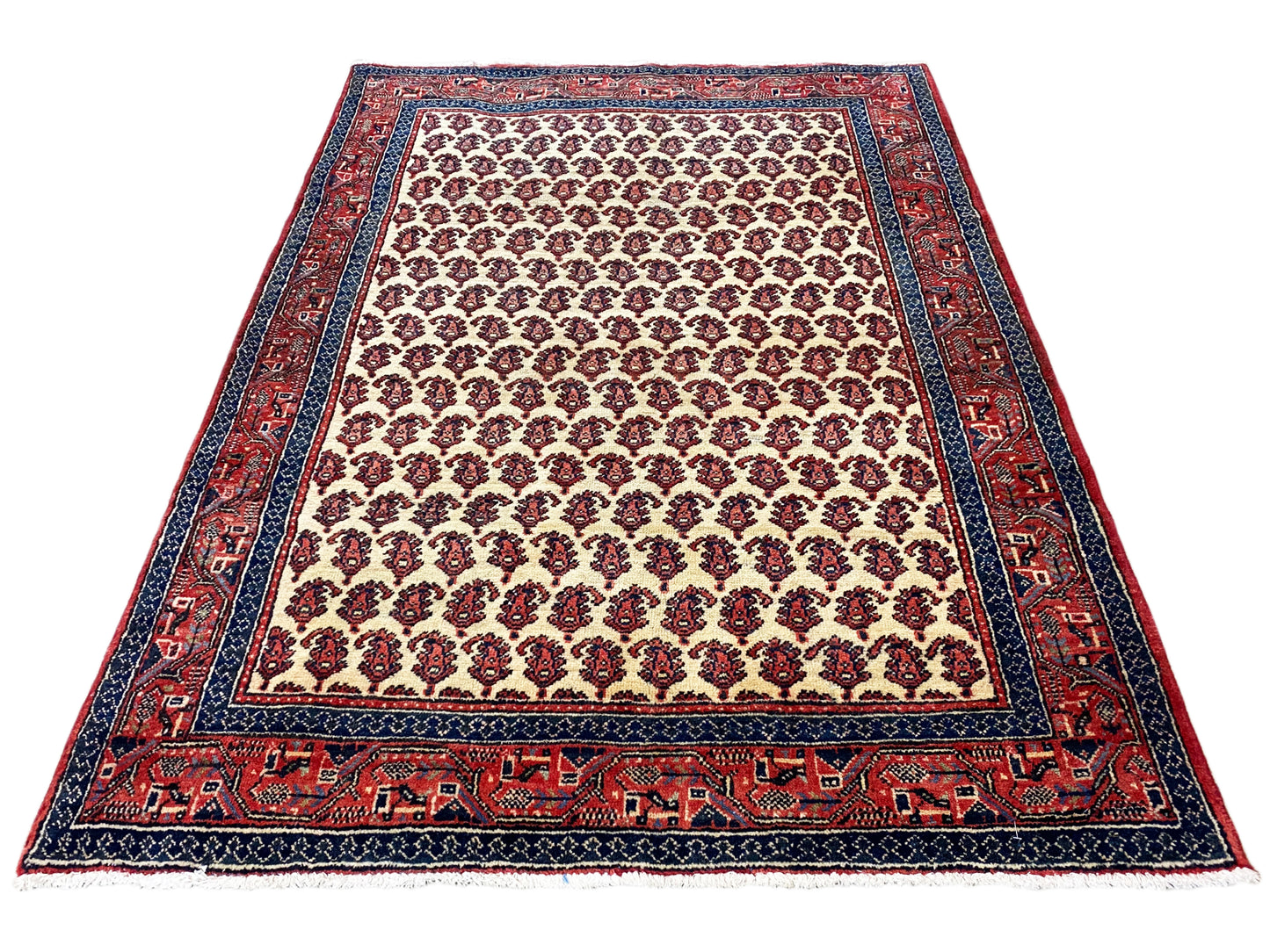Arak Teppich - 308x197 cm