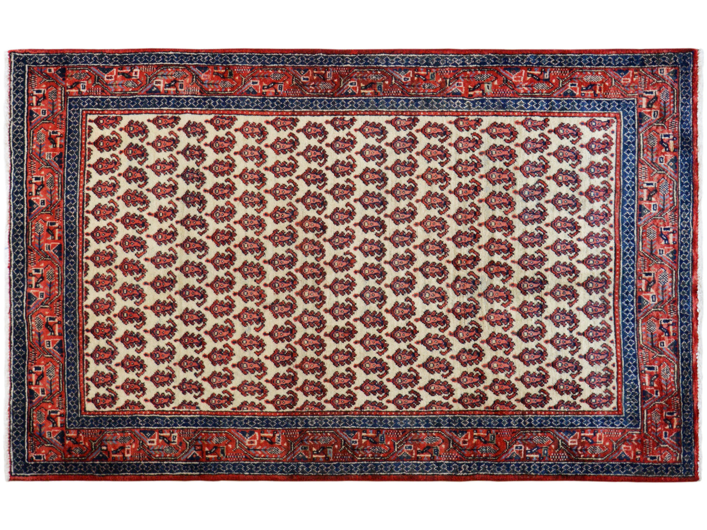 Arak Teppich - 308x197 cm